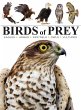 Birds of Prey - Bild 1