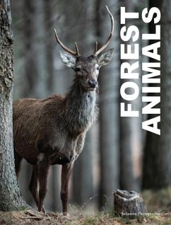 Forest Animals - Photopoulos, Julianna