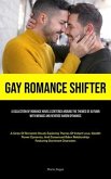 Gay Romance Shifter