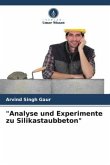 &quote;Analyse und Experimente zu Silikastaubbeton&quote;