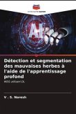 Détection et segmentation des mauvaises herbes à l'aide de l'apprentissage profond