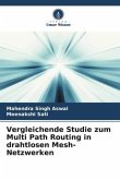 Vergleichende Studie zum Multi Path Routing in drahtlosen Mesh-Netzwerken