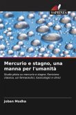 Mercurio e stagno, una manna per l'umanità