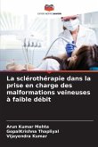 La sclérothérapie dans la prise en charge des malformations veineuses à faible débit