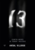 13 (eBook, ePUB)