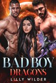 Bad Boy Dragons (eBook, ePUB)
