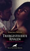 Das Klassentreffen: Triebgesteuerte Rivalen   Erotische Geschichte (eBook, PDF)