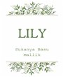Lily (eBook, ePUB) - Bild 1