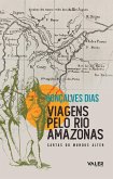 Viagens pelo Rio Amazonas (eBook, ePUB)