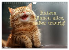 Katzen können alles, außer traurig. (Wandkalender 2024 DIN A4 quer), CALVENDO Monatskalender