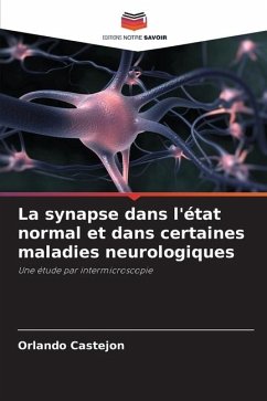 La synapse dans l'état normal et dans certaines maladies neurologiques - Castejon, Orlando