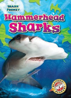 Hammerhead Sharks - Pettiford, Rebecca