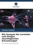 Die Synapse bei normalen und einigen neurologischen Erkrankungen