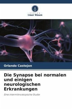 Die Synapse bei normalen und einigen neurologischen Erkrankungen - Castejon, Orlando