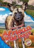 African Wild Dogs African Wild Dogs
