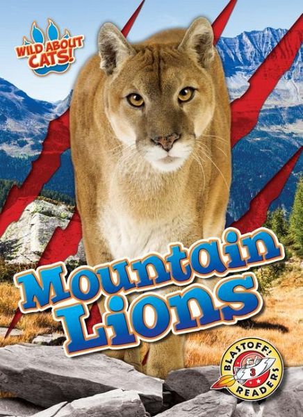 Mountain Lions Mountain Lions