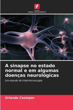 A sinapse no estado normal e em algumas doenças neurológicas - Castejon, Orlando