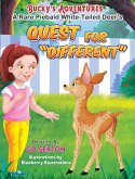 QUEST FOR ''DIFFERENT&quote;