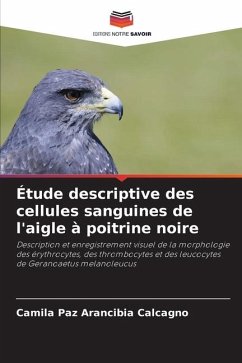 Étude descriptive des cellules sanguines de l'aigle à poitrine noire - Arancibia Calcagno, Camila Paz