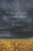 Walking Under Cement Skies