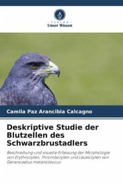 Deskriptive Studie der Blutzellen des Schwarzbrustadlers - Arancibia Calcagno, Camila Paz