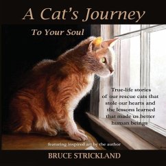 A Cat's Journey To Your Soul - Strickland, Bruce