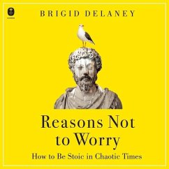 Reasons Not to Worry - Delaney, Brigid
