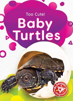 Cover Baby Turtles