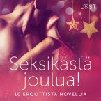 Seksikästä joulua! 10 eroottista novellia (MP3-Download)