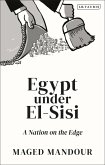 Egypt under El-Sisi (eBook, ePUB)