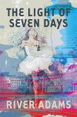 The Light of Seven Days a novel (eBook, ePUB)