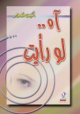 آه لو رأيت (eBook, ePUB)