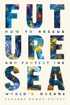 Future Sea (eBook, ePUB) - Wright, Deborah Rowan