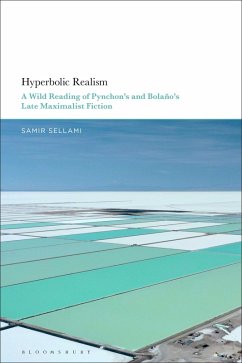 Hyperbolic Realism (eBook, ePUB) Cover Hyperbolic Realism (eBook, ePUB)