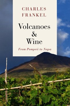 Volcanoes & Wine (eBook, ePUB) - Frankel, Charles