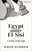 Egypt under El-Sisi (eBook, PDF)