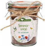 Sommerwiese Sommerwiese