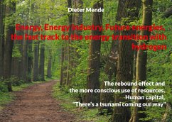 Energy Energy industry Future energies, the fast track to the energy transition with hydrogen - Mende, Dieter