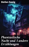 Phantastische Nacht und 5 andere Erzählungen (eBook, ePUB)