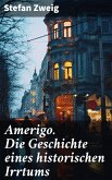 Amerigo. Die Geschichte eines historischen Irrtums (eBook, ePUB)