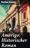 Amerigo: Historischer Roman (eBook, ePUB)