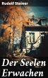 Der Seelen Erwachen (eBook, ePUB) - Bild 1