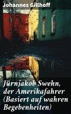 Jürnjakob Swehn, der Amerikafahrer (Basiert auf wahren Begebenheiten) (eBook, ePUB)