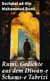 Rumi: Gedichte aus dem Diwan-e Schams-e Tabrizi (eBook, ePUB)