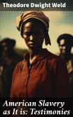 American Slavery as It is: Testimonies (eBook, ePUB)