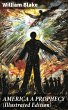 AMERICA A PROPHECY (Illustrated... - Bild 1