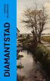 Diamantstad (eBook, ePUB)