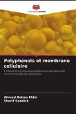 Polyphénols et membrane cellulaire