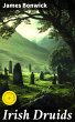 Irish Druids (eBook, ePUB) - Bild 1