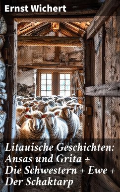 Cover Litauische Geschichten: Ansas und Grita + Die Schwestern + Ewe + Der Schaktarp (eBook, ePUB)